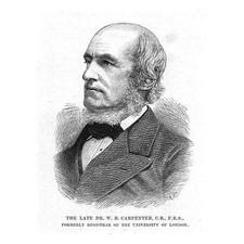 DR W.B Carpenter Registrar for the University of London - Antique Print 1885