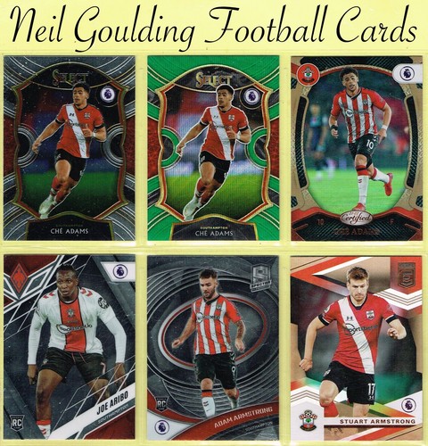 Panini chronicles - panini, ☆