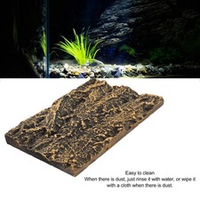 Rock Terrarium Background High