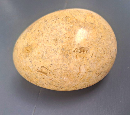 Polished beige fossil egg 7cm - polished, (7cm