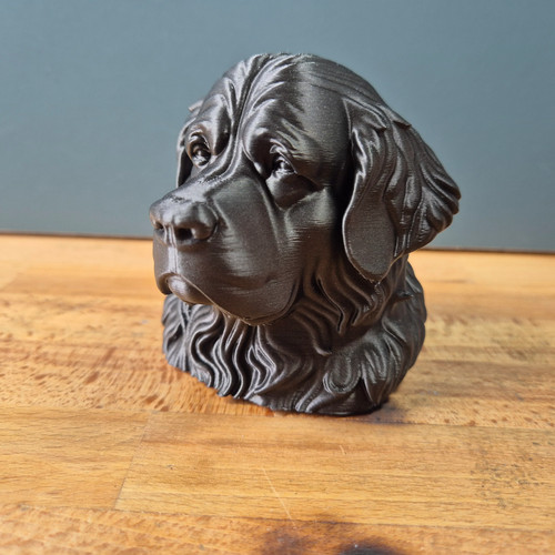 Newfoundland dog bust - newfoundland,