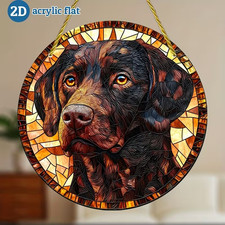 Chocolate Labrador Dog Pet