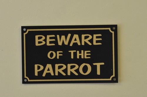 Beware the parrot sign or - of,