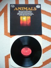 The Animals The Most Of
