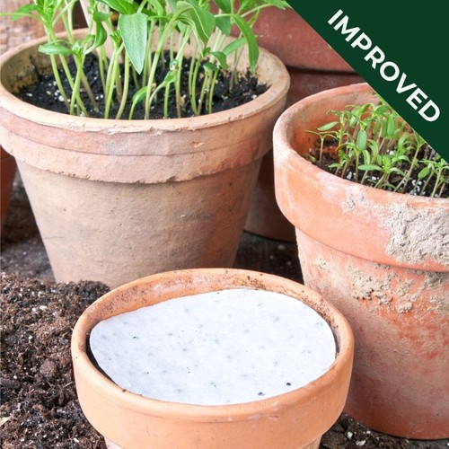 Herb discs collection - collection, seed