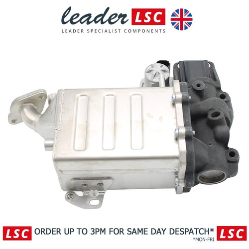 Egr valve and cooler - egr,