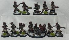 Warhammer 40k Valhallan Ice