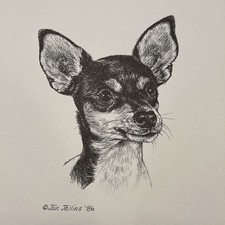 Toy Fox Terrier Vintage Print By Jan Jellins 8 X10