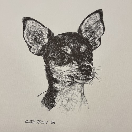 Toy fox terrier vintage print - fox,