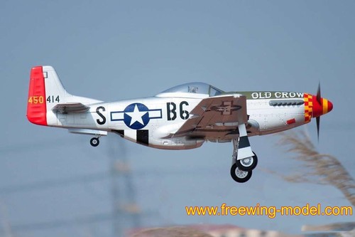 Freewing 51d old crow - p-51d,