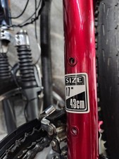 Marin Redwoods Mountain bike