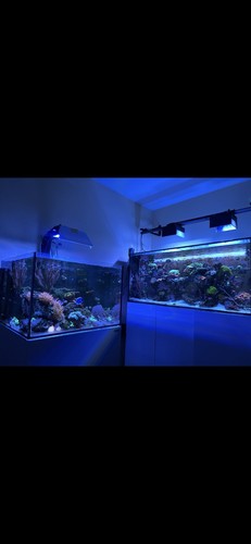 Waterbox cube fish tank - waterbox,