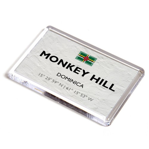 Fridge magnet monkey hill - magnet,