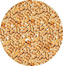 MONKEY NUTS 500g Peanuts In Shell Parrot Hamster Squirrel Food Feed Treat Treats