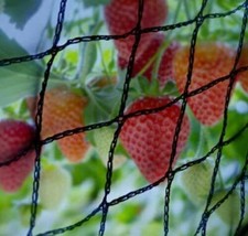 12mm fine mesh strong woven - fine,
