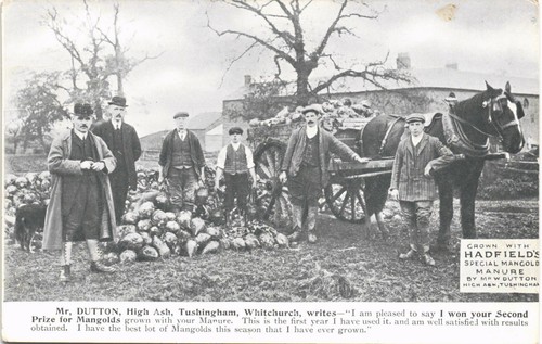 Tushingham whitchurch mr - whitchurch.,