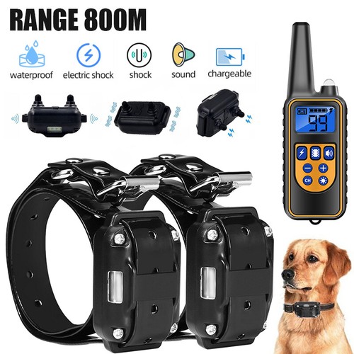 Remote dog training - 1/2x,