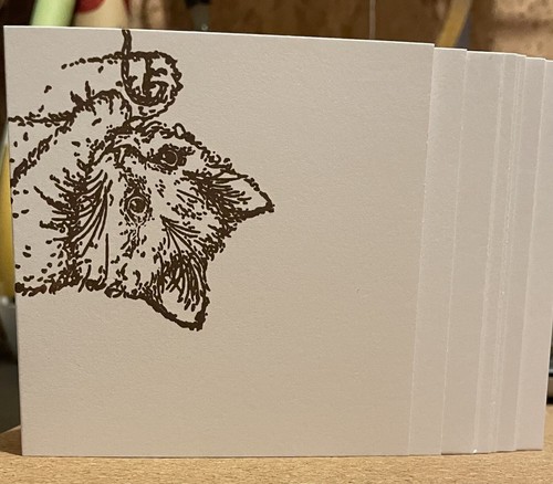 Cat note cards - 10,