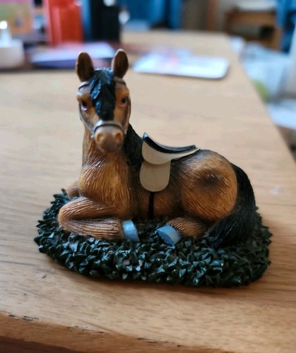Brown horse laying grass - brown,