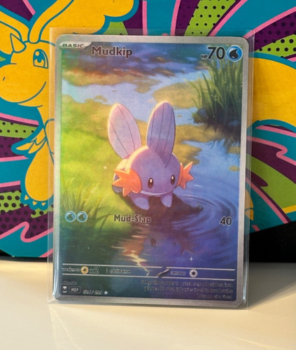 Mudkip pokemon card display - card,