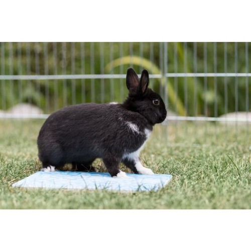 Trixie small animal natural - trixie,