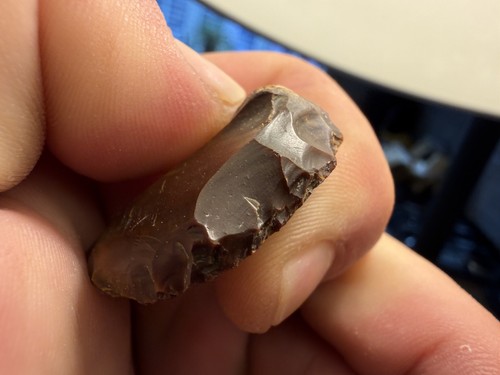 Neolithic flint scraper - neolithic,