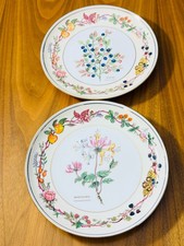Aynsley Fruits and Flowers of Somerset – Set of 2 Plates –Bilberry & Honeysuckle