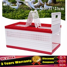 Racing Pigeon Carrier Box Bird