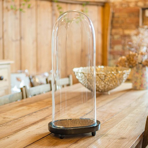 Oval antique diorama dome - antique,