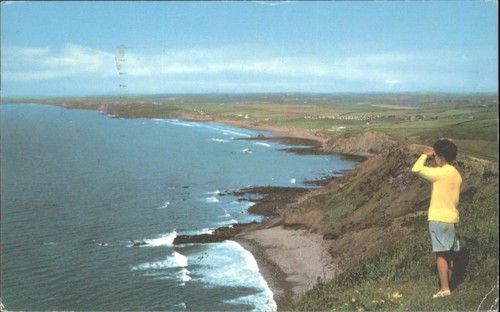 Vintage postcard widemouth bay - vintage,