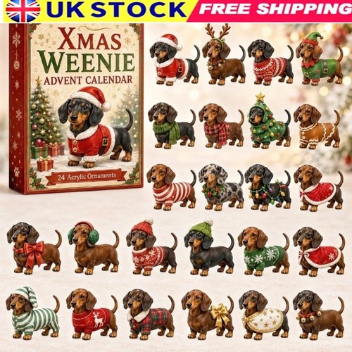 Dachshund dog christmas - dachshund, advent