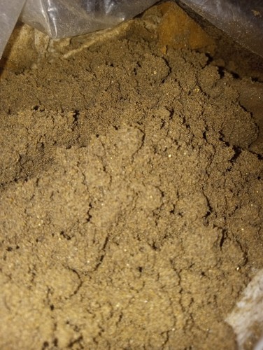 14oz gold bear dirt - :, semi