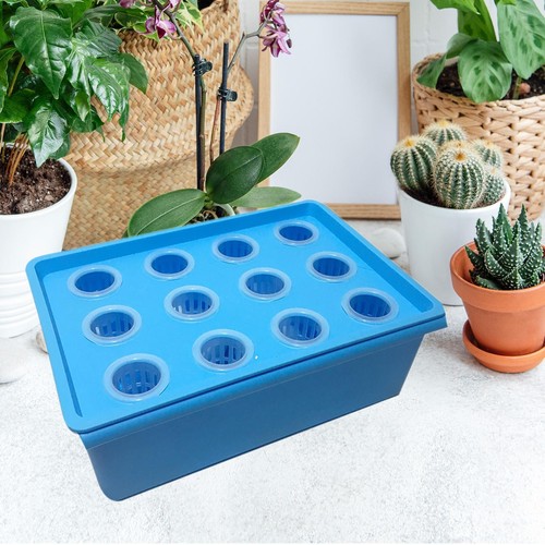New hydroponic grow box - grow, 12