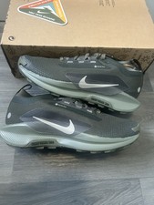 Nike Pegasus Trail 5 Gore-tex