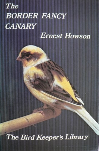 The border fancy - the, canary
