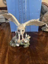 Birds Of Nature Collection Barn Owl Royal Doulton Figurine