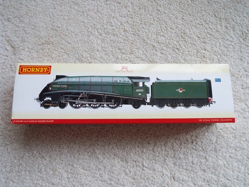 Hornby r2340 class golden - r2340,