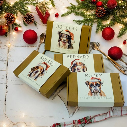 Any dog breed christmas - dog,