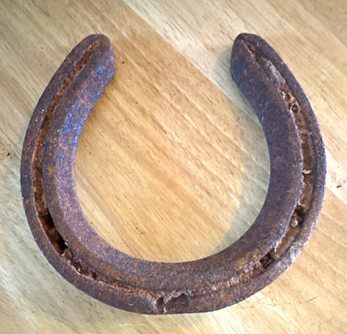 Rustic rusty metal horseshoe - rustic,
