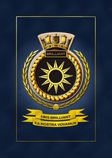 HMS BRILLIANT SHIPS