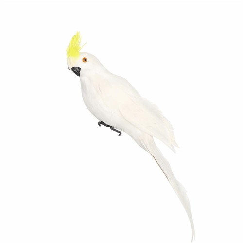 25cm 35cm 45cm 60cm simulation - 25cm/35cm/45cm/60cm,
