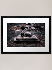 Frisky Framed Art Print Framed