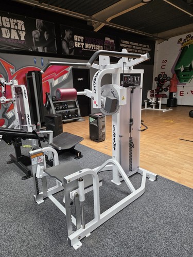 Hammer strength multi hip - hammer,