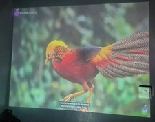 Epson EB-535W Short Throw HDMI Projector. 3400 Lummens. 95hrs.  Power  Cable.