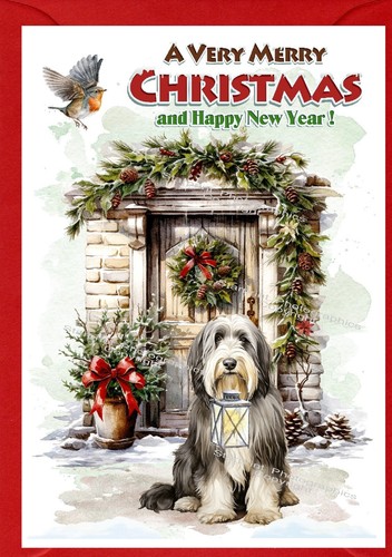 Bearded collie dog - collie,