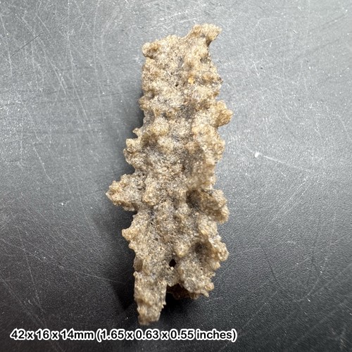 Crystal fulgurite petrified - fulgurite, (petrified