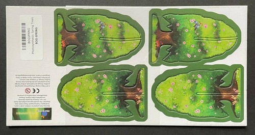 Photosynthesis spring trees - photosynthesis,