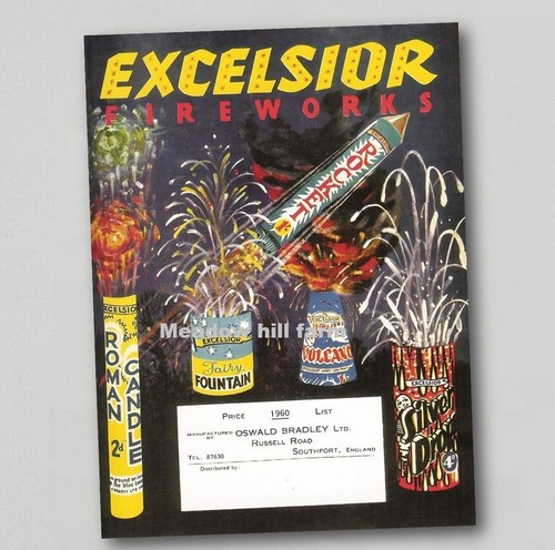 Fridge magnet excelsior - fridge,