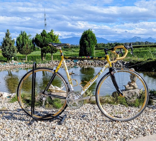 Fondriest golden renaix 88 - golden, '88