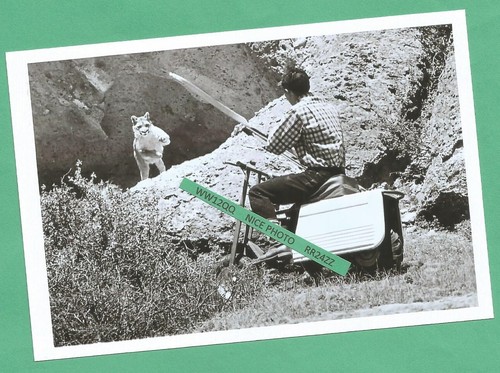 Found 4x6 photo old - 4x6,